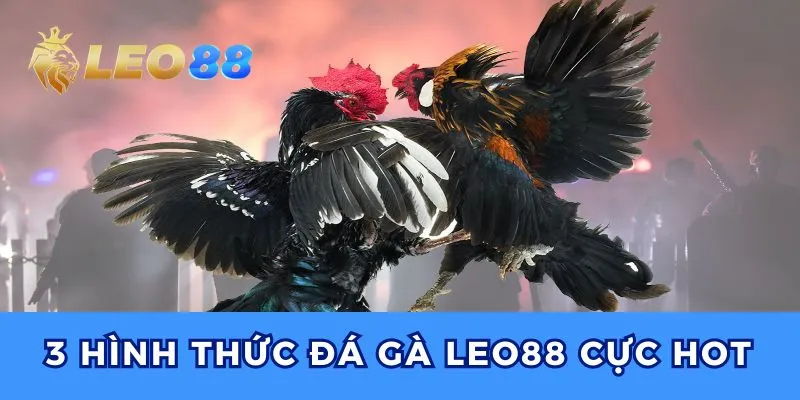 Điểm danh top 3 hình thức đá gà Leo88 phổ biến hiện nay.