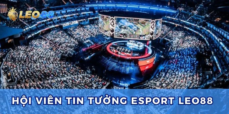 Esports Leo88 mang đến đa dạng các giải đấu cùng tỷ lệ cược hấp dẫn.