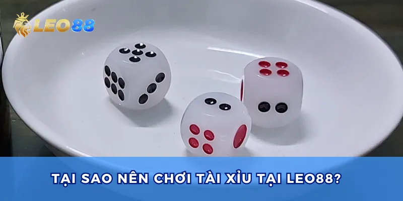 Tham gia cá cược thuật ngữ Tài ngất 6 3 ra 1 tại Leo88.