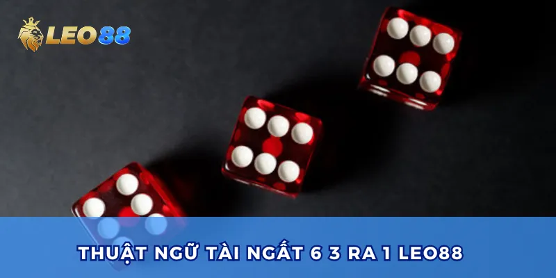 Thuật ngữ tài ngất 6 3 ra 1